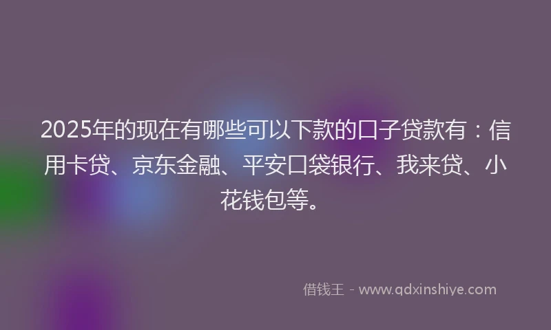2025年的现在有哪些可以下款的口子贷款有：信用卡贷、京东金融、平安口袋银行、我来贷、小花钱包等。