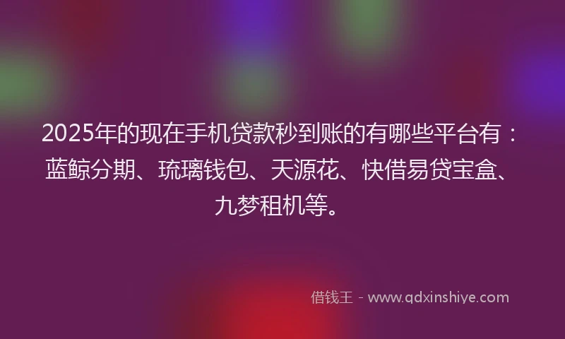 2025年的现在手机贷款秒到账的有哪些平台有：蓝鲸分期、琉璃钱包、天源花、快借易贷宝盒、九梦租机等。
