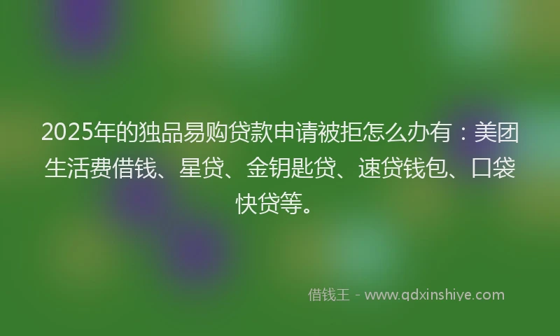 2025年的独品易购贷款申请被拒怎么办有：美团生活费借钱、星贷、金钥匙贷、速贷钱包、口袋快贷等。