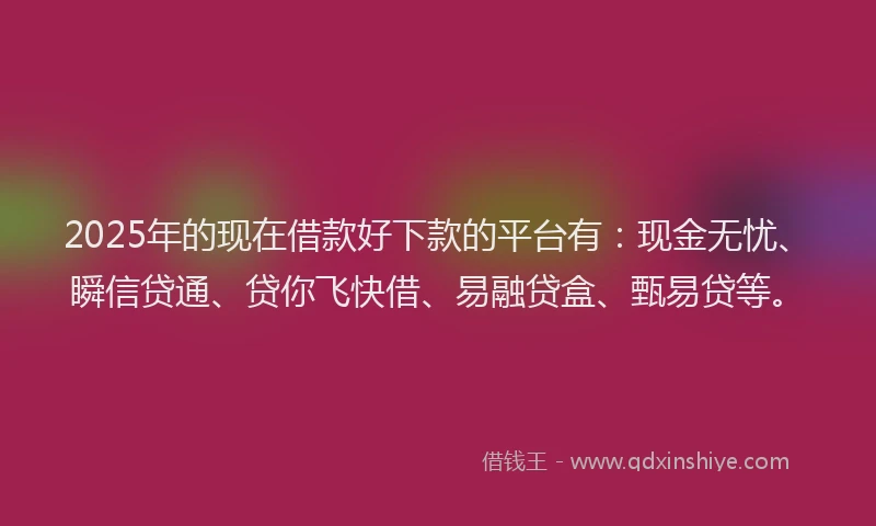 2025年的现在借款好下款的平台有：现金无忧、瞬信贷通、贷你飞快借、易融贷盒、甄易贷等。