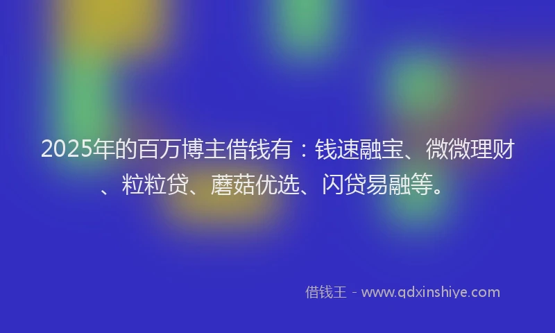 2025年的百万博主借钱有：钱速融宝、微微理财、粒粒贷、蘑菇优选、闪贷易融等。