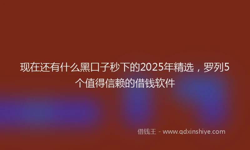 现在还有什么黑口子秒下的2025年精选，罗列5个值得信赖的借钱软件
