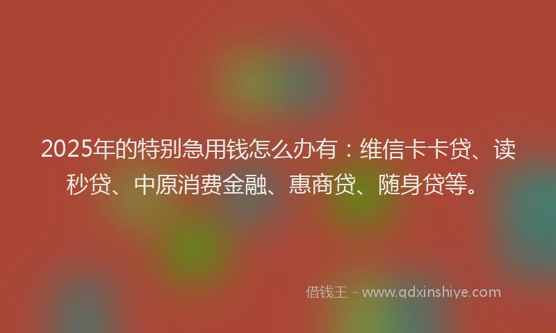 2025年的特别急用钱怎么办有：维信卡卡贷、读秒贷、中原消费金融、惠商贷、随身贷等。