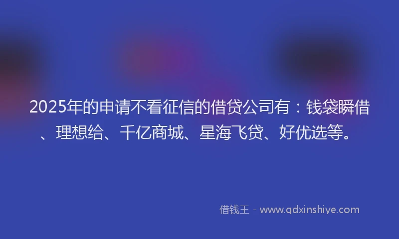 2025年的申请不看征信的借贷公司有：钱袋瞬借、理想给、千亿商城、星海飞贷、好优选等。