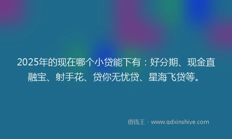 2025年的现在哪个小贷能下有：好分期、现金直融宝、射手花、贷你无忧贷、星海飞贷等。