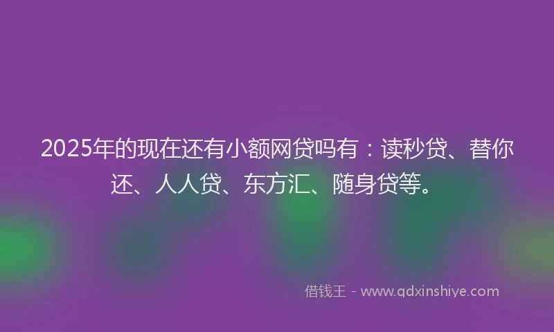 2025年的现在还有小额网贷吗有：读秒贷、替你还、人人贷、东方汇、随身贷等。