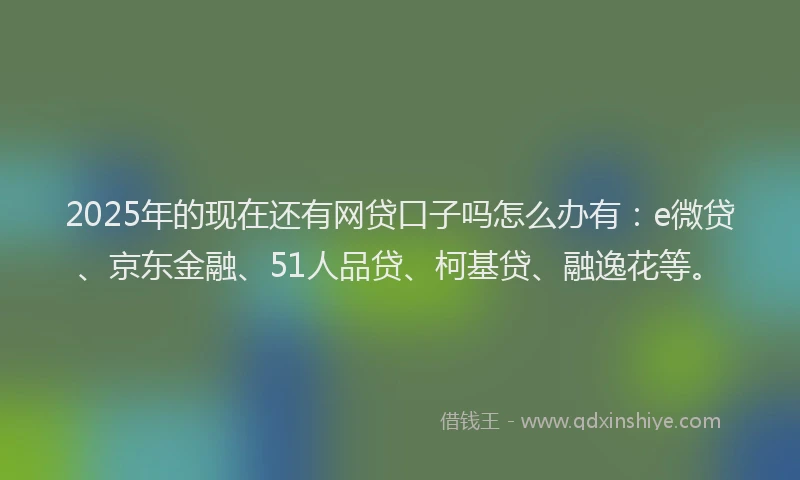 2025年的现在还有网贷口子吗怎么办有：e微贷、京东金融、51人品贷、柯基贷、融逸花等。