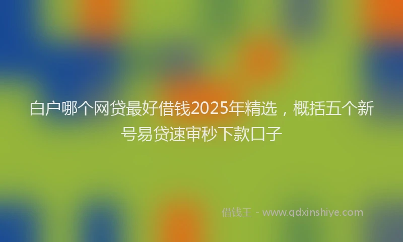 白户哪个网贷最好借钱2025年精选，概括五个新号易贷速审秒下款口子
