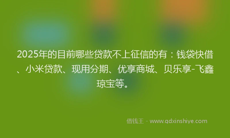 2025年的目前哪些贷款不上征信的有：钱袋快借、小米贷款、现用分期、优享商城、贝乐享-飞鑫琼宝等。