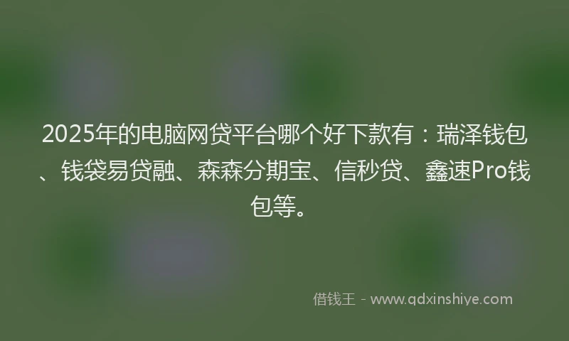 2025年的电脑网贷平台哪个好下款有：瑞泽钱包、钱袋易贷融、森森分期宝、信秒贷、鑫速Pro钱包等。