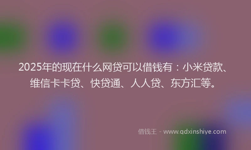 2025年的现在什么网贷可以借钱有：小米贷款、维信卡卡贷、快贷通、人人贷、东方汇等。