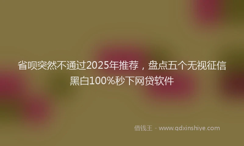 省呗突然不通过2025年推荐，盘点五个无视征信黑白100%秒下网贷软件