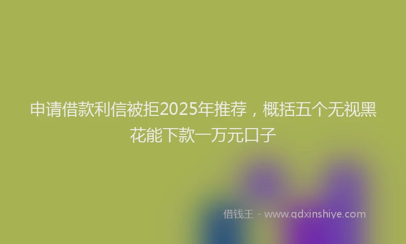申请借款利信被拒2025年推荐，概括五个无视黑花能下款一万元口子