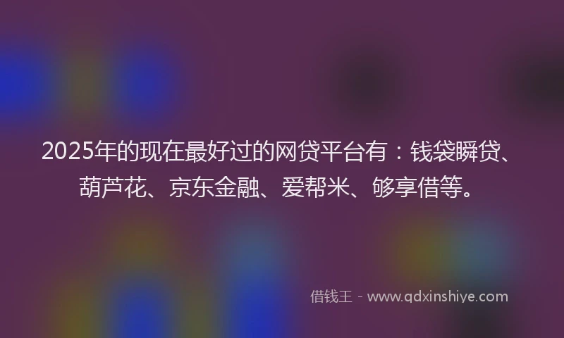 2025年的现在最好过的网贷平台有：钱袋瞬贷、葫芦花、京东金融、爱帮米、够享借等。