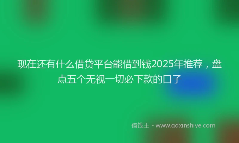 现在还有什么借贷平台能借到钱2025年推荐，盘点五个无视一切必下款的口子