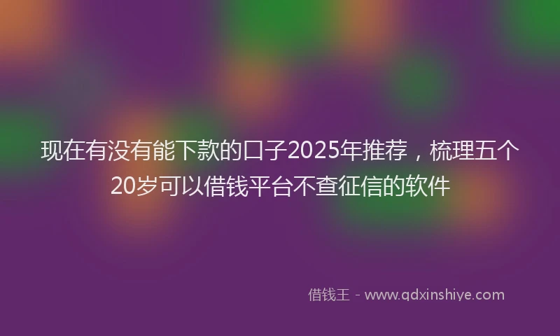现在有没有能下款的口子2025年推荐，梳理五个20岁可以借钱平台不查征信的软件
