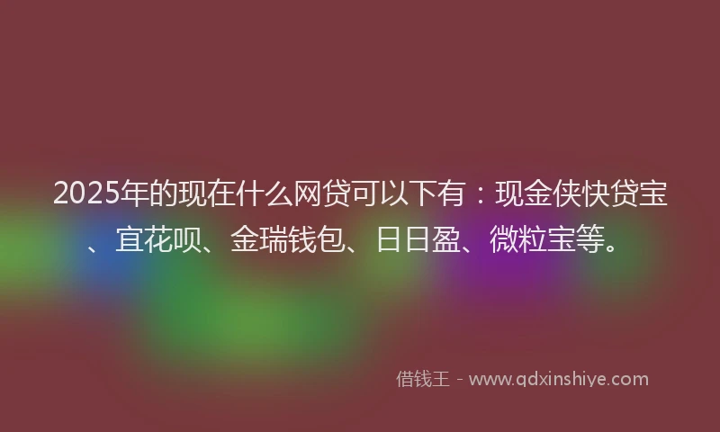 2025年的现在什么网贷可以下有：现金侠快贷宝、宜花呗、金瑞钱包、日日盈、微粒宝等。