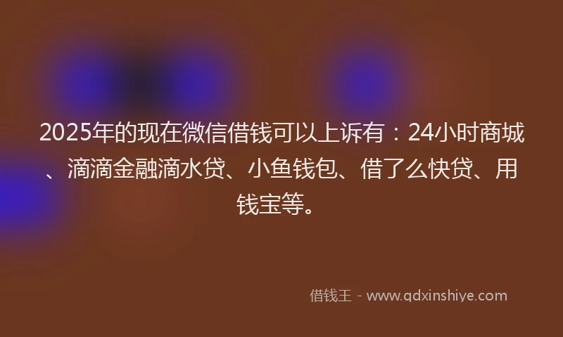2025年的现在微信借钱可以上诉有：24小时商城、滴滴金融滴水贷、小鱼钱包、借了么快贷、用钱宝等。