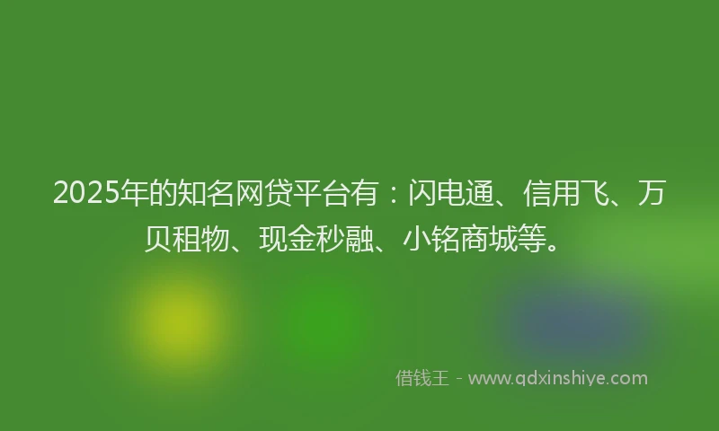2025年的知名网贷平台有：闪电通、信用飞、万贝租物、现金秒融、小铭商城等。