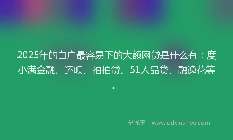 2025年的白户最容易下的大额网贷是什么有：度小满金融、还呗、拍拍贷、51人品贷、融逸花等。