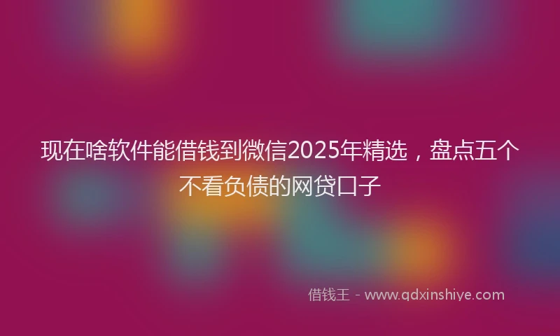 现在啥软件能借钱到微信2025年精选，盘点五个不看负债的网贷口子