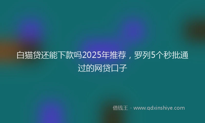 白猫贷还能下款吗2025年推荐，罗列5个秒批通过的网贷口子