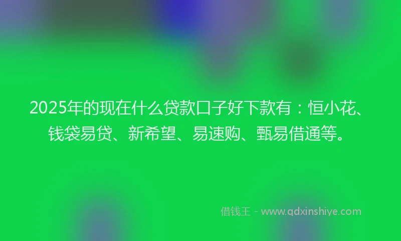 2025年的现在什么贷款口子好下款有：恒小花、钱袋易贷、新希望、易速购、甄易借通等。