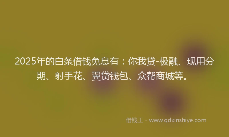 2025年的白条借钱免息有：你我贷-极融、现用分期、射手花、翼贷钱包、众帮商城等。