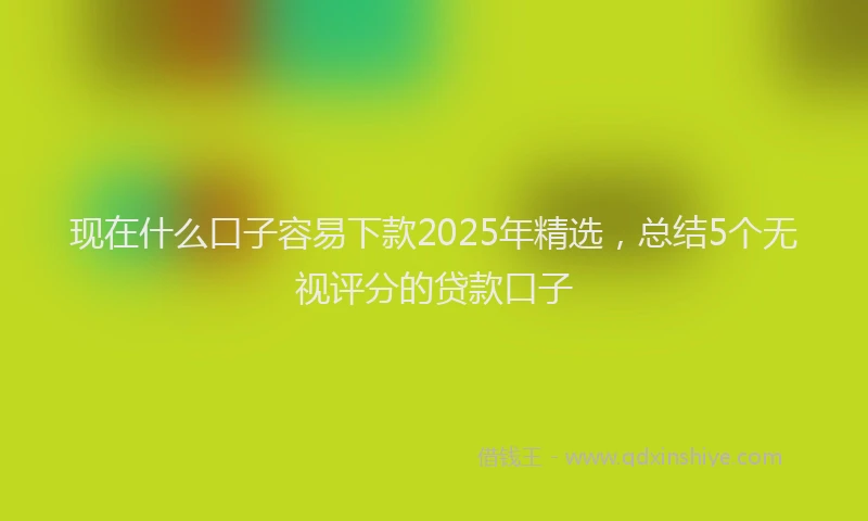 现在什么口子容易下款2025年精选，总结5个无视评分的贷款口子