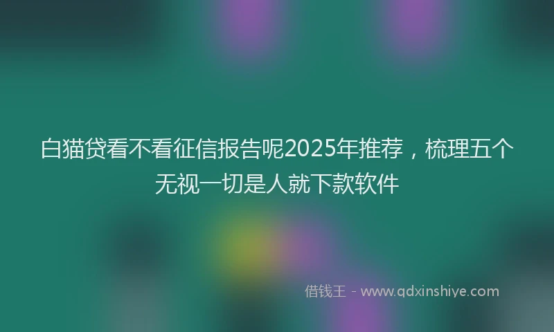白猫贷看不看征信报告呢2025年推荐，梳理五个无视一切是人就下款软件