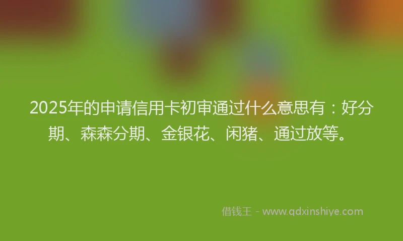 2025年的申请信用卡初审通过什么意思有：好分期、森森分期、金银花、闲猪、通过放等。