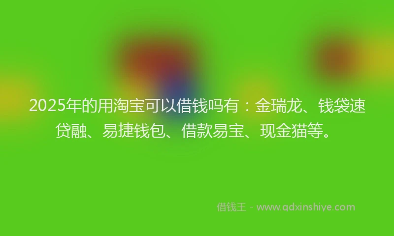 2025年的用淘宝可以借钱吗有：金瑞龙、钱袋速贷融、易捷钱包、借款易宝、现金猫等。