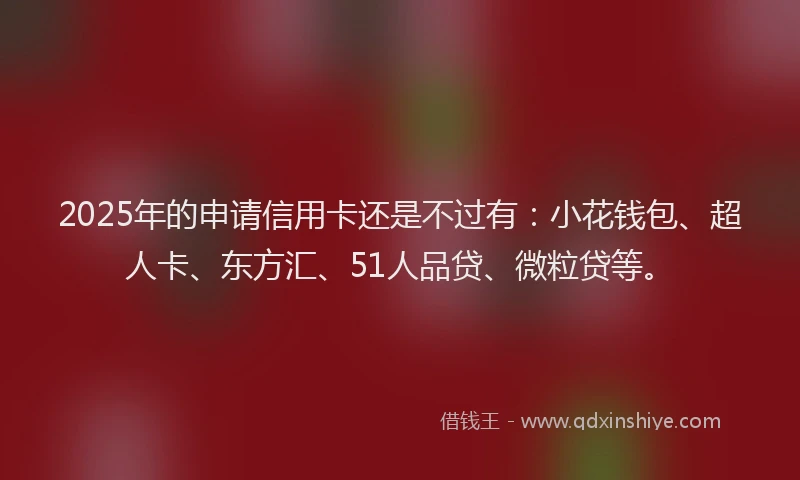 2025年的申请信用卡还是不过有：小花钱包、超人卡、东方汇、51人品贷、微粒贷等。