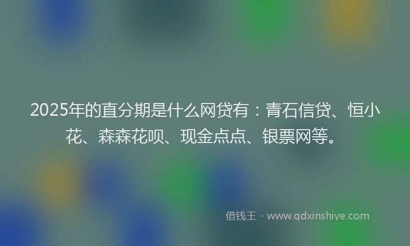 2025年的直分期是什么网贷有：青石信贷、恒小花、森森花呗、现金点点、银票网等。