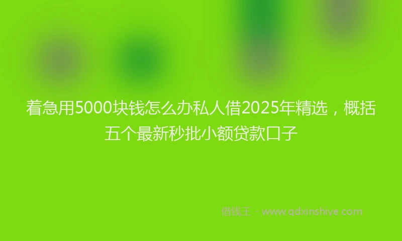 着急用5000块钱怎么办私人借2025年精选，概括五个最新秒批小额贷款口子