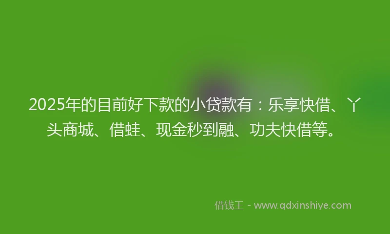 2025年的目前好下款的小贷款有：乐享快借、丫头商城、借蛙、现金秒到融、功夫快借等。
