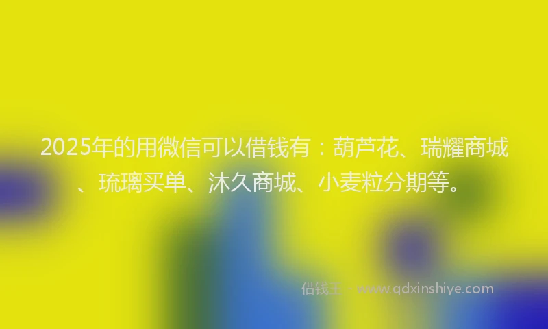 2025年的用微信可以借钱有：葫芦花、瑞耀商城、琉璃买单、沐久商城、小麦粒分期等。