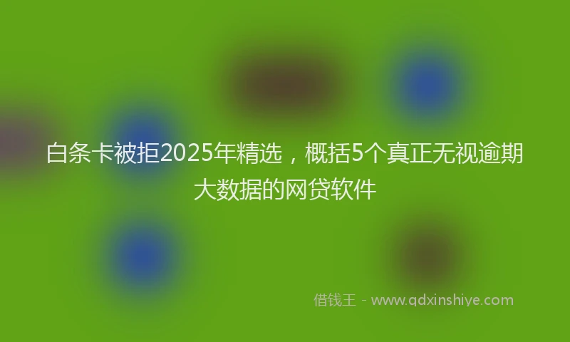 白条卡被拒2025年精选，概括5个真正无视逾期大数据的网贷软件
