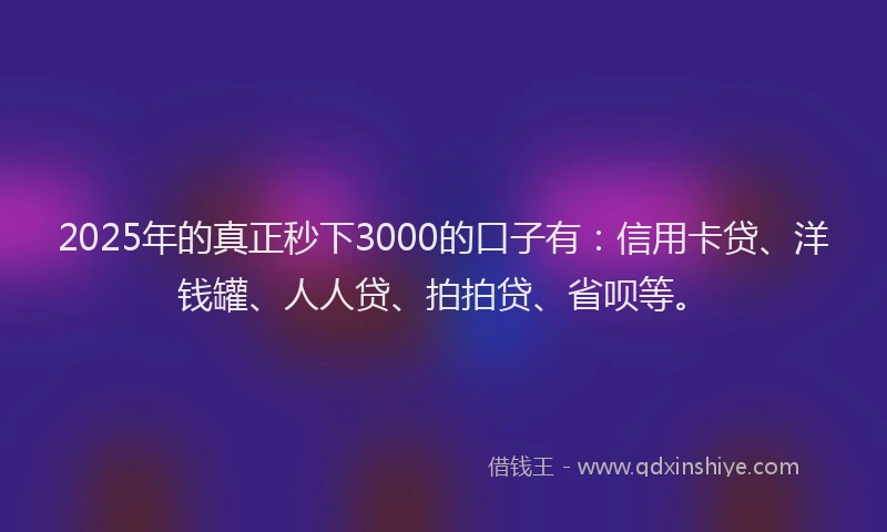 2025年的真正秒下3000的口子有：信用卡贷、洋钱罐、人人贷、拍拍贷、省呗等。