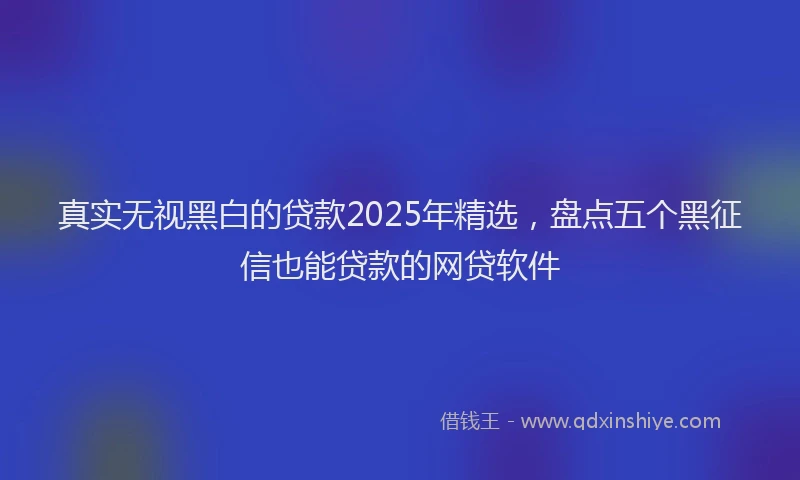 真实无视黑白的贷款2025年精选，盘点五个黑征信也能贷款的网贷软件