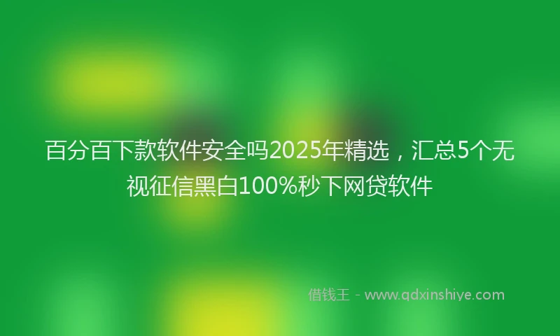 百分百下款软件安全吗2025年精选，汇总5个无视征信黑白100%秒下网贷软件