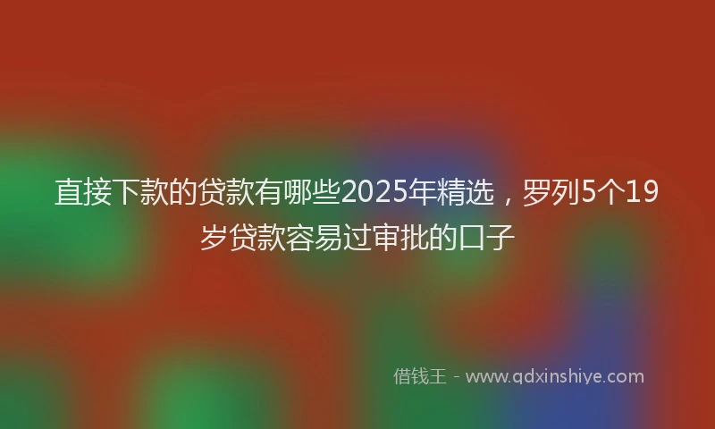 直接下款的贷款有哪些2025年精选，罗列5个19岁贷款容易过审批的口子