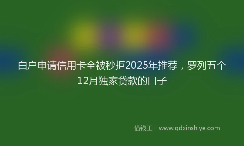 白户申请信用卡全被秒拒2025年推荐，罗列五个12月独家贷款的口子