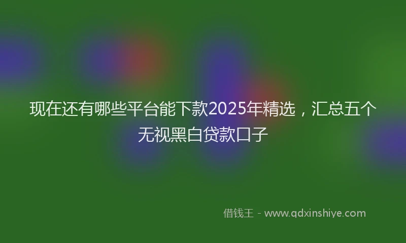 现在还有哪些平台能下款2025年精选，汇总五个无视黑白贷款口子