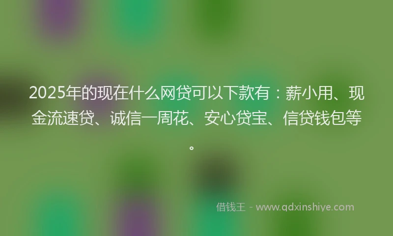 2025年的现在什么网贷可以下款有：薪小用、现金流速贷、诚信一周花、安心贷宝、信贷钱包等。