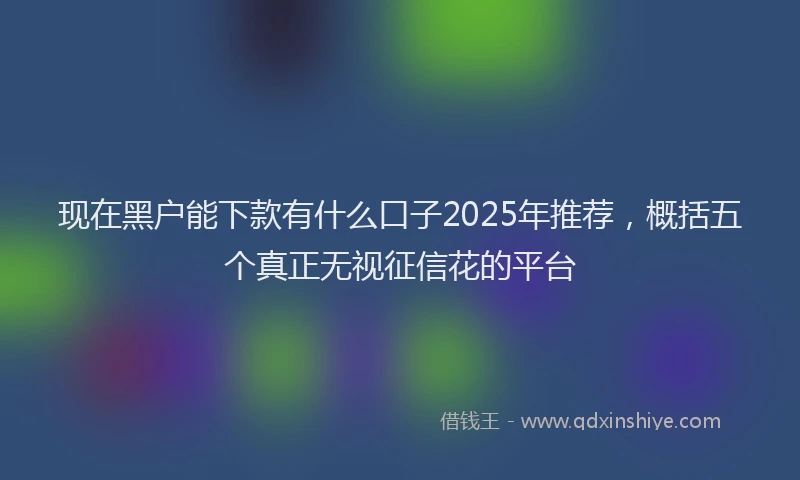 现在黑户能下款有什么口子2025年推荐，概括五个真正无视征信花的平台