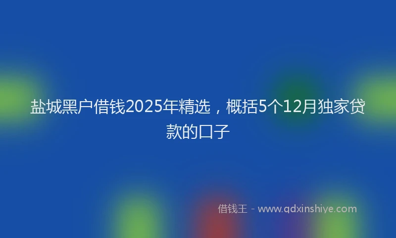 盐城黑户借钱2025年精选，概括5个12月独家贷款的口子