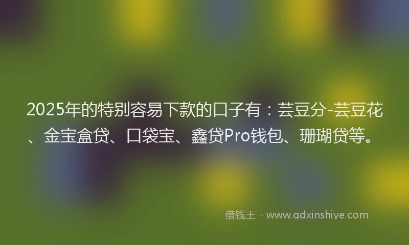 2025年的特别容易下款的口子有：芸豆分-芸豆花、金宝盒贷、口袋宝、鑫贷Pro钱包、珊瑚贷等。