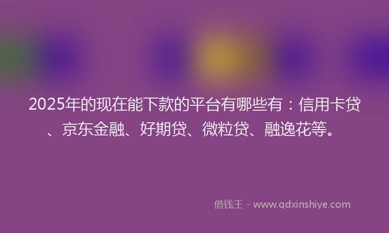 2025年的现在能下款的平台有哪些有：信用卡贷、京东金融、好期贷、微粒贷、融逸花等。