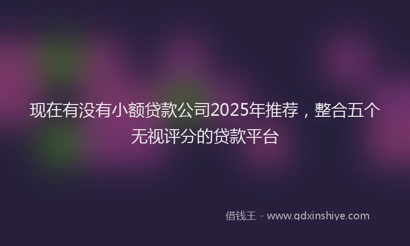现在有没有小额贷款公司2025年推荐，整合五个无视评分的贷款平台